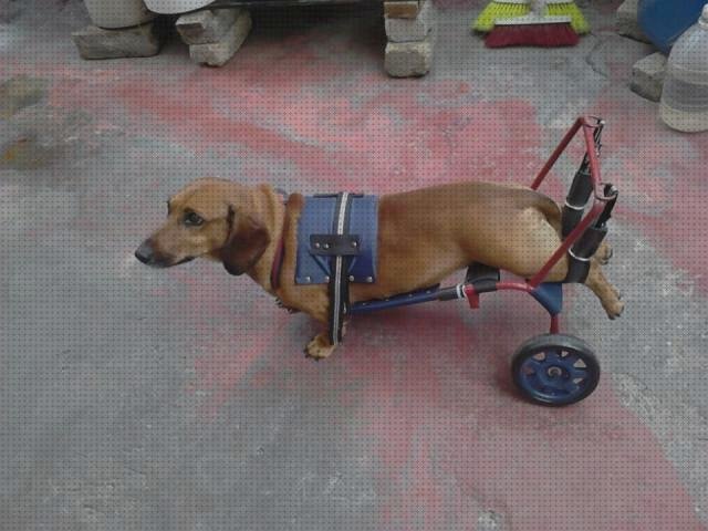 Review de arnes de perro para silla de ruedas