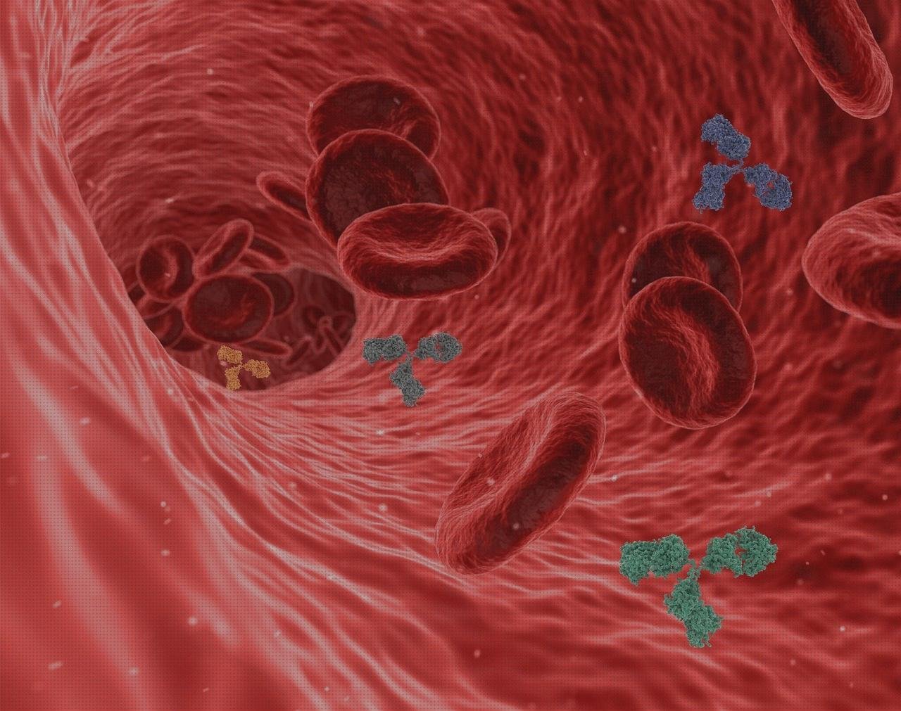 Las mejores arteri