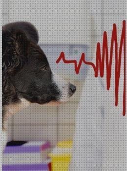 ¿Dónde poder comprar electrocardiograficos diagnosticos basicos electrocardiograficos perros?