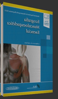 Las 8 Mejores Ecografías Musculoesquelética Esenciales