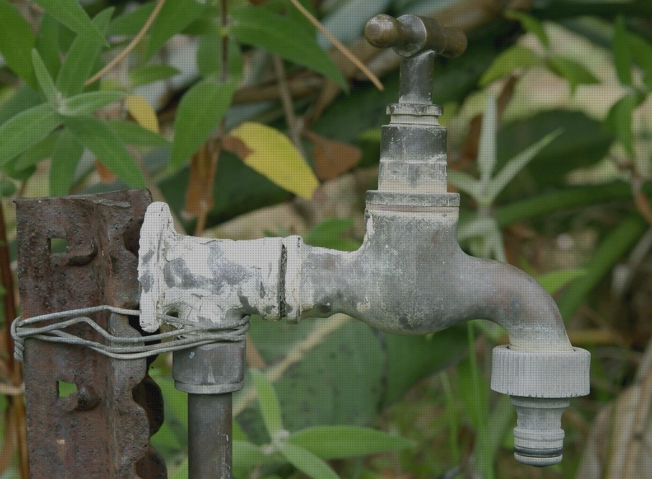 Las mejores Mas ecografía intraparto Mas ecografía reglada Mas avantek termómetro digital irrigador dental silonite