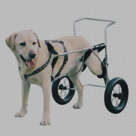 ¿Dónde poder comprar precios ruedas silla de ruedas para perros precios?