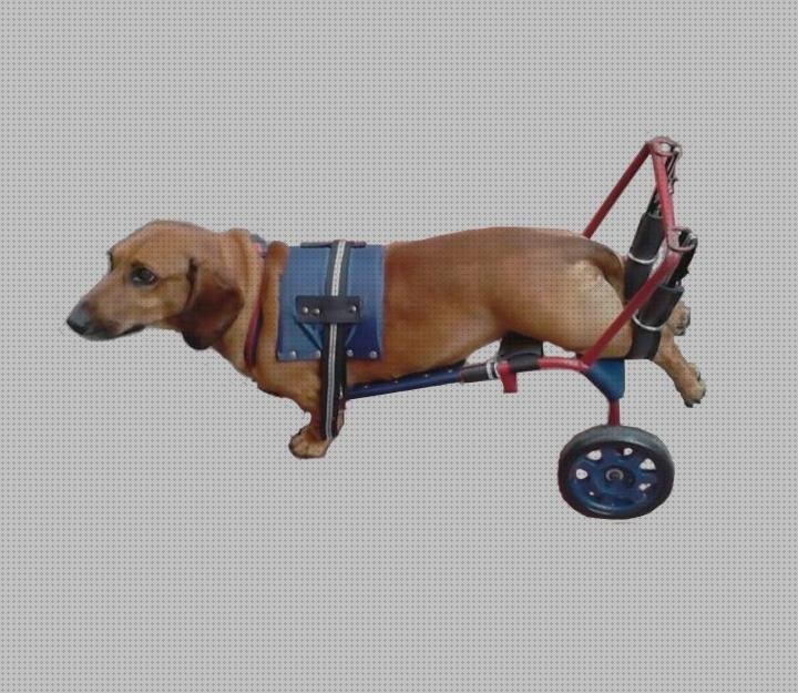 ¿Dónde poder comprar perros ruedas silla de ruedas para perros salchichas?