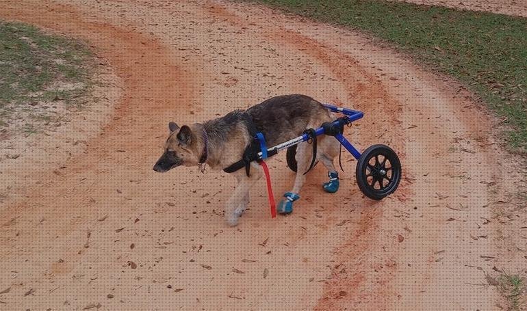 Las mejores sillas ruedas silla de ruedas para