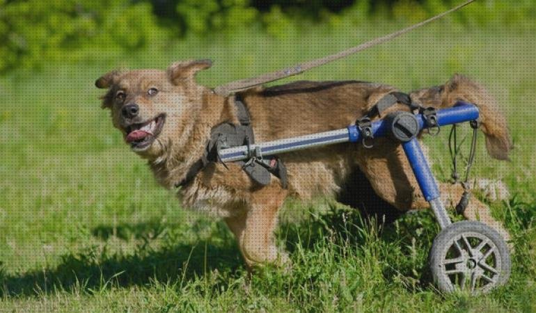 Las mejores marcas de sillas ruedas silla de ruedas ajustable