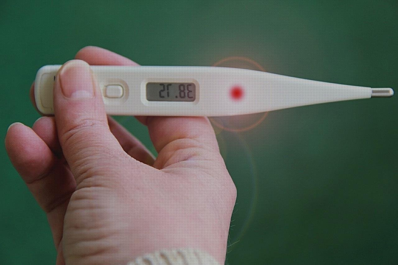 Análisis de los 20 mejores Termómetros Digitales Supergible